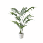 1757428434490_0.009537339899153063